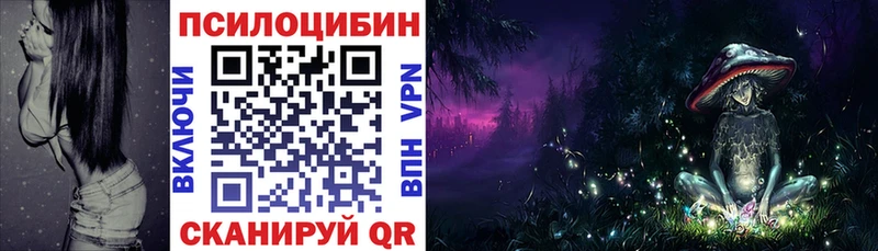 Купить закладки  Кемерово  Псилоцибиновые грибы Psilocybe 